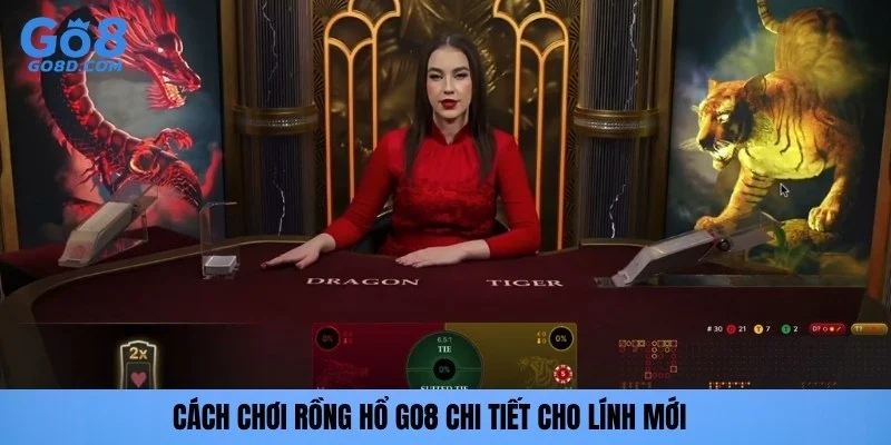 Cách chơi rồng hổ GO8 chi tiết cho lính mới