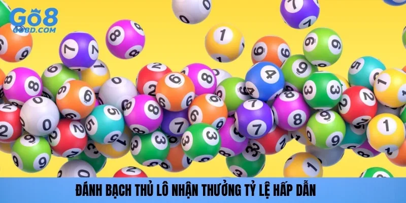 Đánh bạch thủ lô nhận thưởng tỷ lệ hấp dẫn